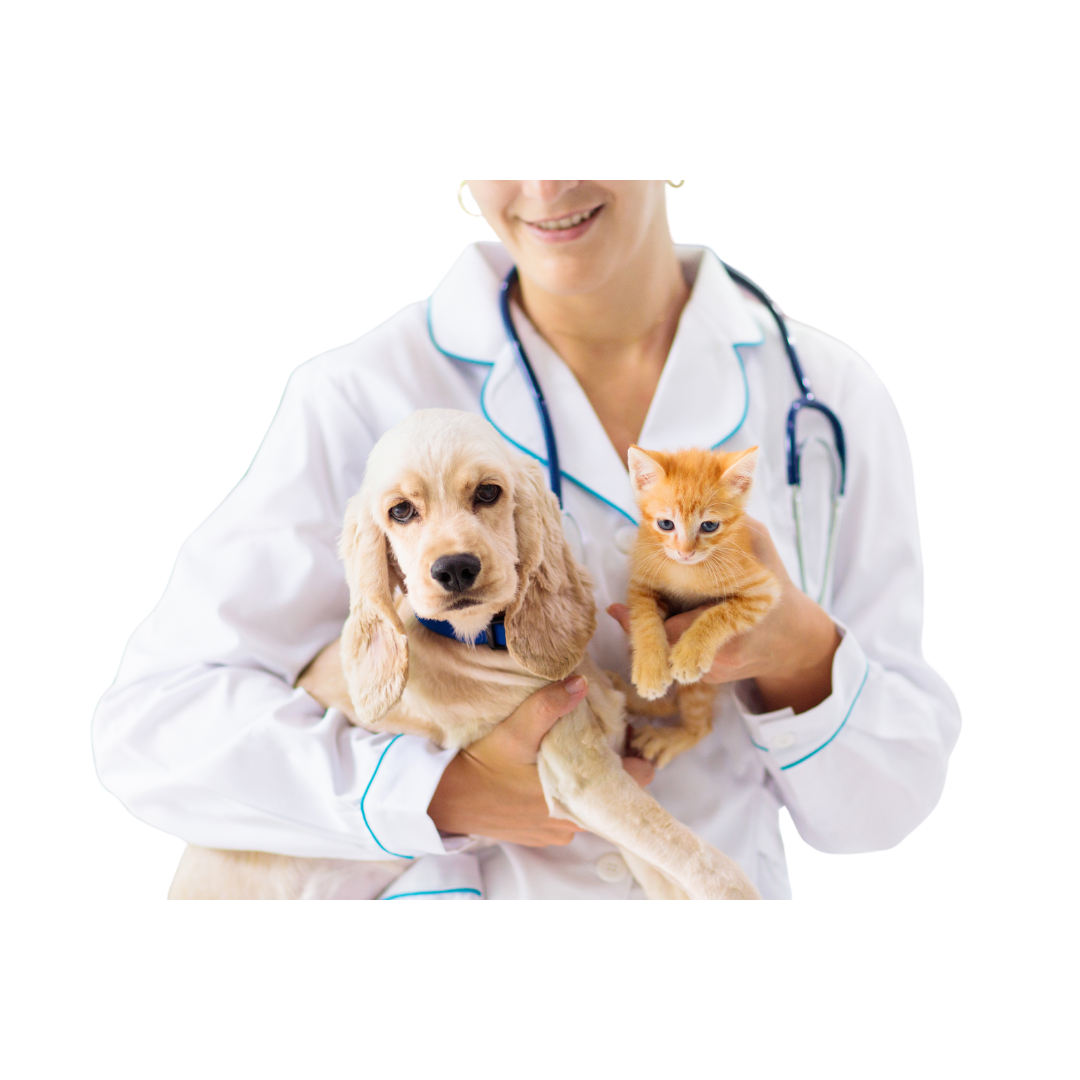 Pet Health products