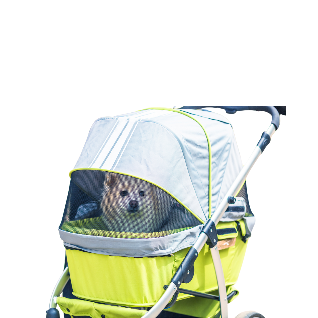 Pet stroller products